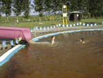 Приплыл